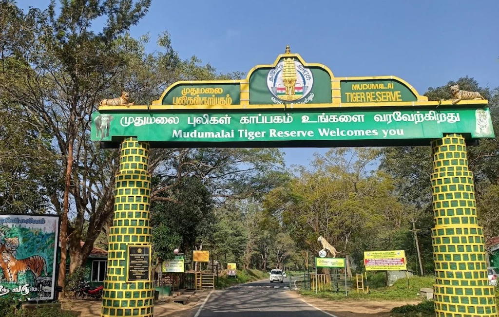 Mudumalai Nature