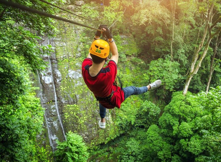 Things to Do in Wayanad