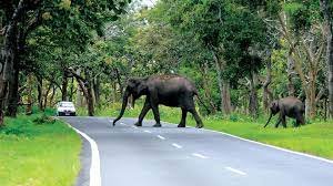 Bandipur Scenic Views