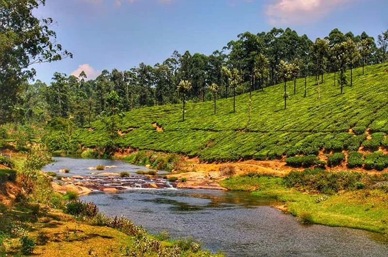 Valparai Kerala Tours 3